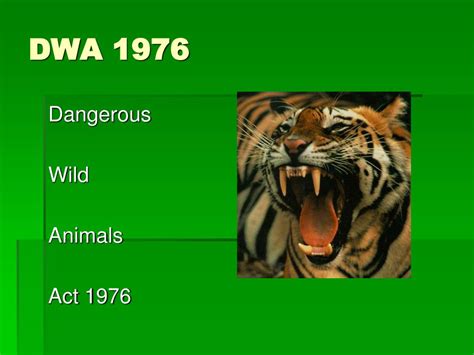 dangerous wild animals act simple.